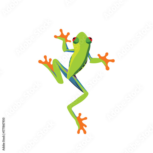 Tableau sur toile Realistic Greenery tree frog climbing isolated vector illustration
