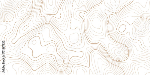 luxury abstract Golden line art design geography concept vector illustration topo contour grid abstract backdrop background.Cartography terrain contour lines backdrop for website, presentations.