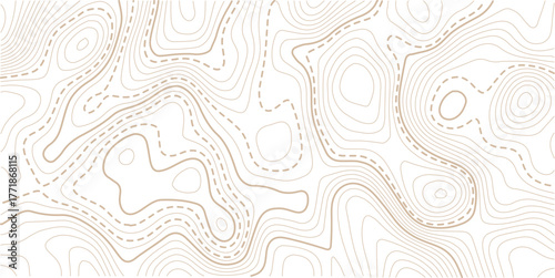 luxury abstract Golden line art design geography concept vector illustration topo contour grid abstract backdrop background.Cartography terrain contour lines backdrop for website, presentations.