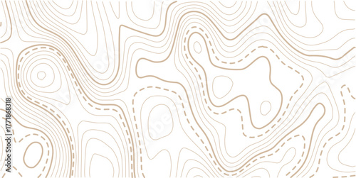 luxury abstract Golden line art design geography concept vector illustration topo contour grid abstract backdrop background.Cartography terrain contour lines backdrop for website, presentations.