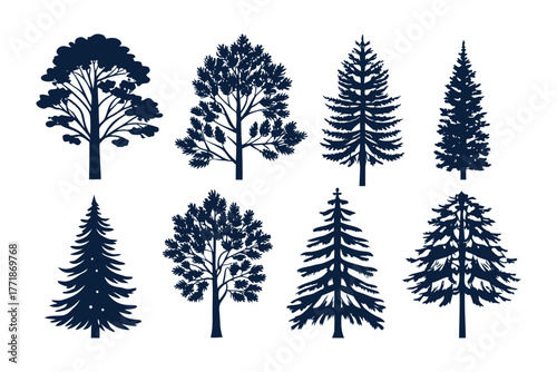 Variety of Trees: Diverse silhouettes of trees, each showcasing unique shapes and foliage, create a dynamic forest, offering a range of arboreal forms