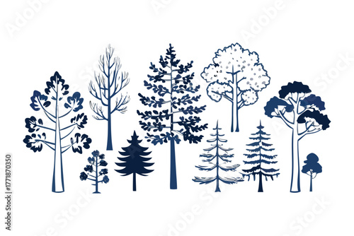 Evergreen Collection: An artistic depiction of diverse evergreen trees, showcasing various forms and foliage types in a stylized arrangement.