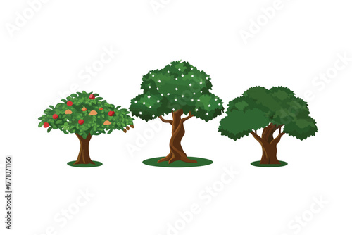 Three Trees Trio: A vibrant trio of trees, each uniquely adorned with lush foliage and a sturdy trunk, stands as a testament to the diverse beauty of nature.