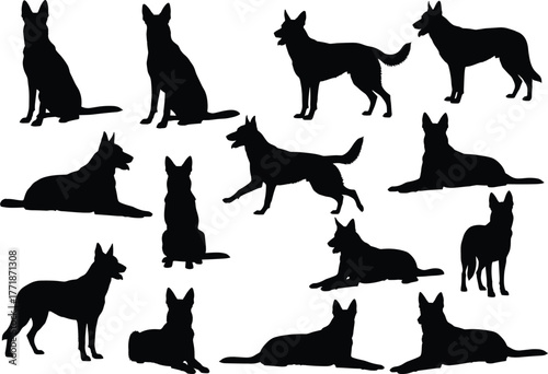 German shepherd dog silhouette collection in different poses, sitting, standing, running, lying down, pet animal vector illustration for design, training, security