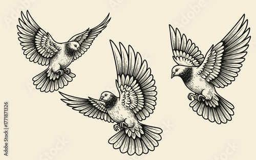 Set of three flying doves in a vintage hand-drawn engraving style illustration