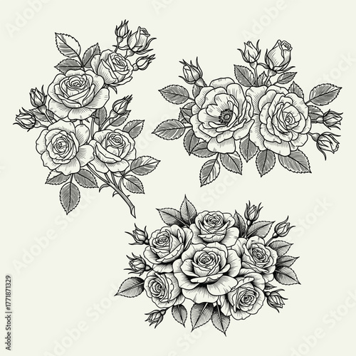 Set of three beautiful rose bouquets with buds and leaves in a classic vintage engraving style