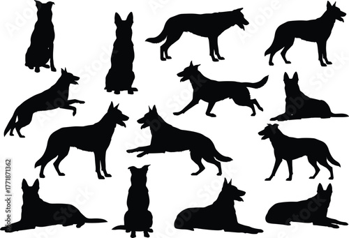 German shepherd dog silhouette vector collection showing various poses, sitting, running, standing and lying positions, perfect for pet design and decoration