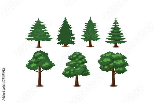 Variety of Tree: Diverse array of vibrant trees showcases various shapes, sizes, and species, demonstrating the beauty and diversity of the natural world.
