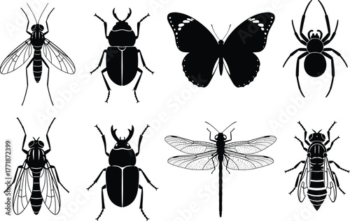 Insect silhouette vector collection with butterfly, beetle, fly, spider, dragonfly, and wasp, detailed black insect illustration set for nature and biology designs