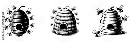 beehive set with flying bees, swarm and honeycomb symbols, vector illustrations for beekeeping and honey production