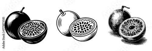 passion fruit icon set with whole, sliced and engraved symbols, vector illustrations for tropical food and healthy diet