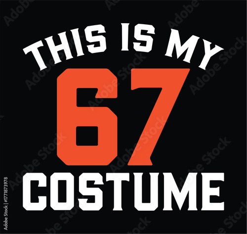 this is my 67 costume