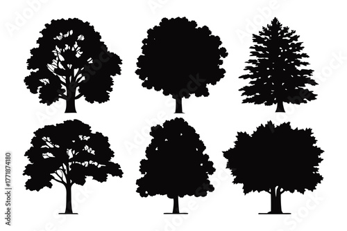 Silhouetted Trees: A collection of various tree silhouettes, each with unique characteristics and shapes, showcases the diversity of nature's arboreal forms.