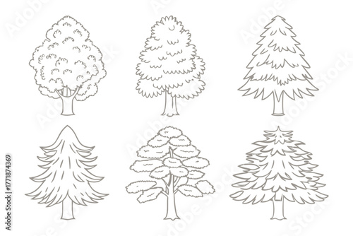 Variety of Tree: A collection of various trees in different shapes and forms, each with unique characteristics and textures, showcases the diverse beauty of nature.
