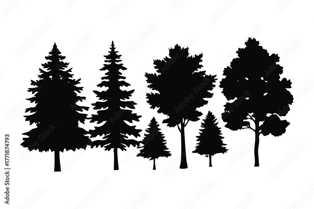 Fototapeta premium Silhouette of Varied Trees: Capturing the intricate silhouettes of an array of trees. Showcasing the unique shape and textures of each tree against a solid backdrop.