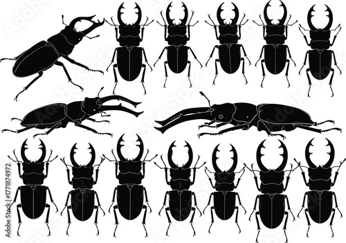 Stag beetle insect silhouette vector collection, detailed black beetle illustration set for nature, science, wildlife, biology, and entomology themed design projects