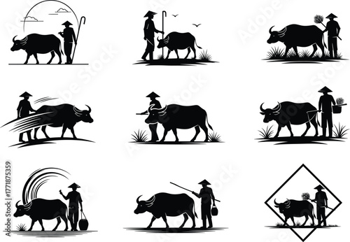 Traditional Asian farmer with water buffalo silhouette vector illustration, agriculture lifestyle concept, rural field work art, countryside farming scene design.