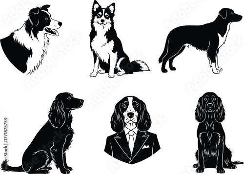 Vector illustration set of different dog breeds in black and white, detailed pet artwork with realistic poses and portrait design for decoration
