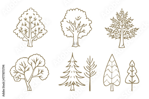 Botanical Illustration: Diverse Tree Sketches. Intricate line art depicts a variety of trees, offering a collection of natural forms. The images highlight different species and shapes.