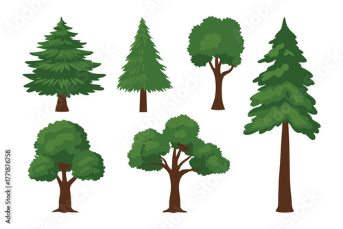 Diverse Trees Illustration: A collection of various tree illustrations, showcasing a variety of shapes and styles, bringing the diversity of nature to life. 