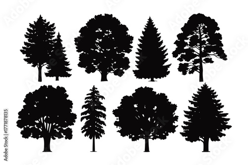 Forest silhouettes : A striking illustration showcasing a collection of majestic trees, their forms elegantly silhouetted against an undefined background.