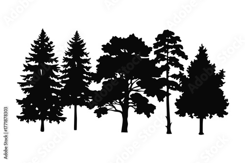 Silhouette Forest: A striking monochrome image of diverse trees. capturing the tranquil essence of a serene forest and a sense of harmony. 