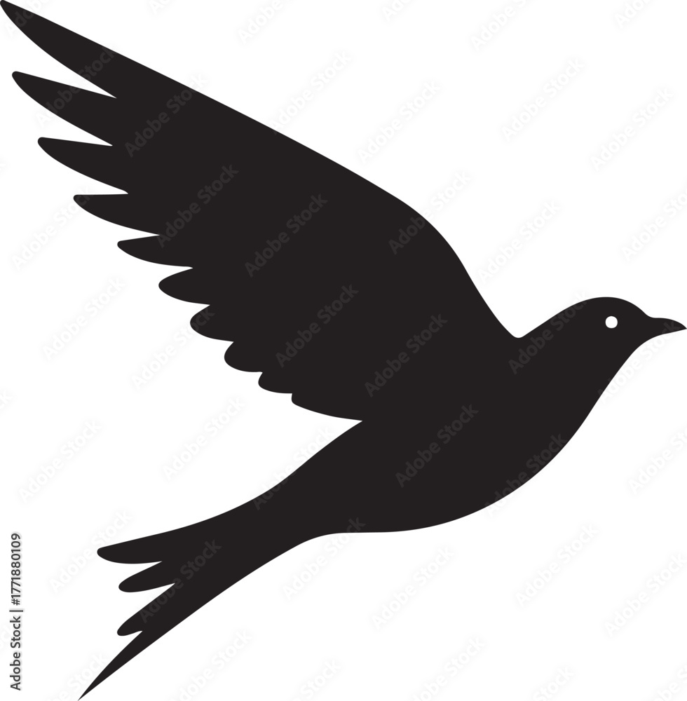 Fototapeta premium Black bird in flight silhouette graceful wings against a transparent background