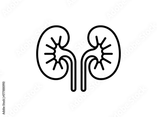 Simple monochrome outline graphic representing human kidneys anatomy medical symbol vector