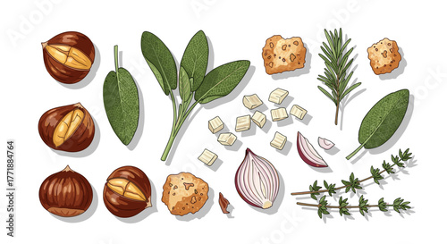 Vector  an arrangement displaying chestnuts sage rosemary thyme onion and bread pieces on a surface