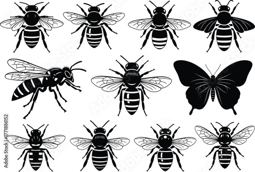 Bee and butterfly silhouette vector illustration, detailed insect icons collection, black and white flying insect design for nature, honey, and pollination themes