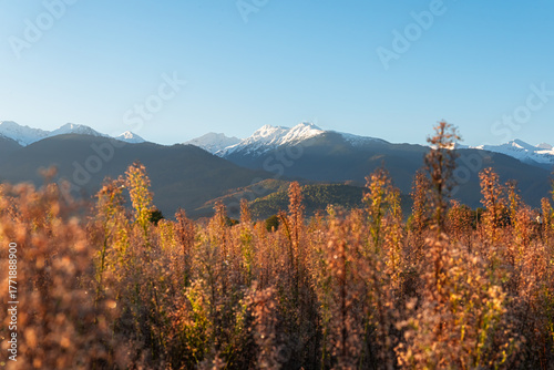 Autumn Landscape of Fagaras Mountains, Carpathians, Romania — Golden Grass and Mountain View