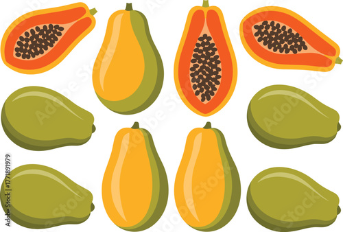 Fresh ripe papaya fruit collection, tropical healthy food, organic exotic fruit illustration, flat vector design, nutrition