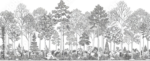 Vector CAD Set of Tree Elevation Drawing, Outline of Trees and Grass in Clean Architecture Line Style for Landscape, Urban, and Garden Design Plans