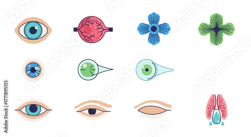 Collection of Stylized Human Eye and Organ Illustrations in Flat Design