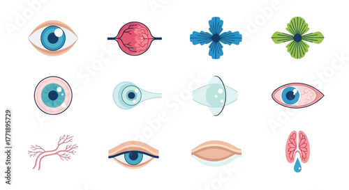 Collection of Eye and Tear Duct Illustrations for Medical or Educational Purposes