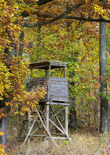 Jesienny las w ciepłym świetle poranka. Kolorowe liście drzew tworzą malowniczy dywan w odcieniach złota, pomarańczy i czerwieni. Promienie słońca przenikają przez mgłę, podkreślając nastrojowy klimat