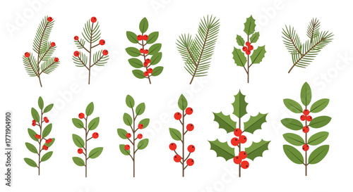 A collection of festive evergreen branches and red berries for decoration