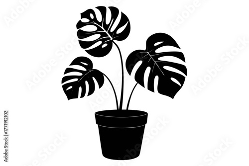 Monstera deliciosa plant in a pot silhouette vector, Monstera deliciosa  black symbol