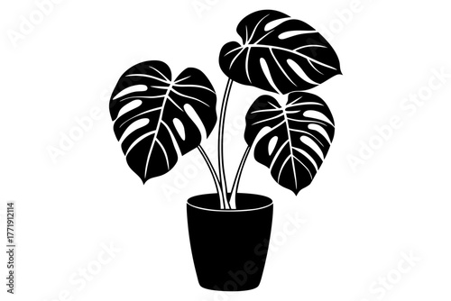 Monstera deliciosa plant in a pot silhouette vector, Monstera deliciosa  black symbol