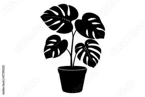 Monstera deliciosa plant in a pot silhouette vector, Monstera deliciosa  black symbol