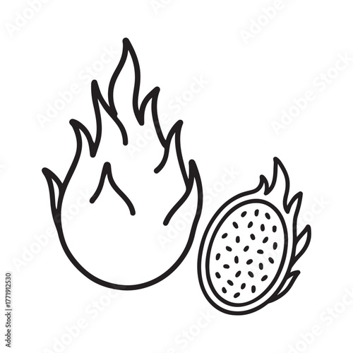 vector illustration of a dragon fruit and a slice