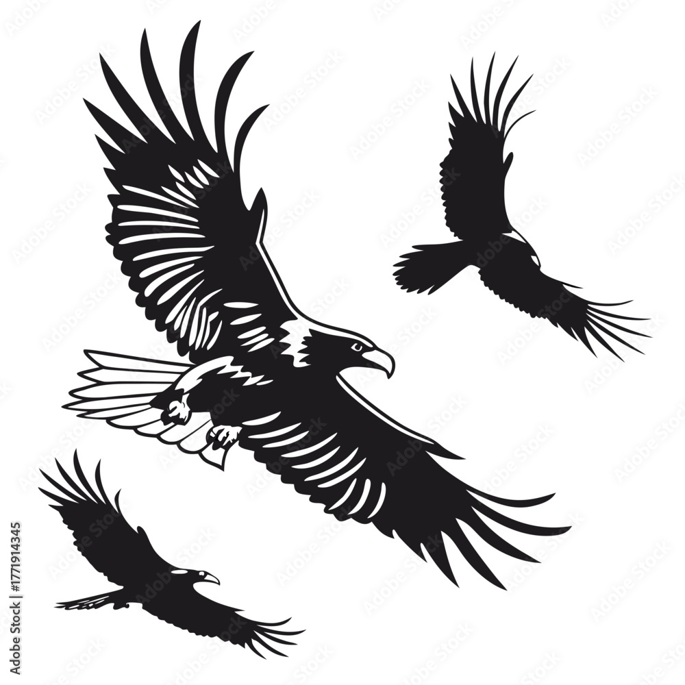 Obraz premium Three eagles flying in black and white style