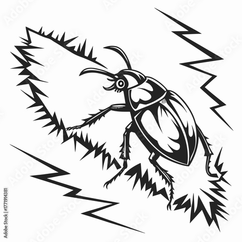 Black and white illustration of a beetle