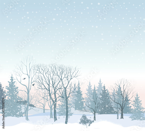 Winter forest snowfall landscape. Christmas morning snowy background.  Winter nature holiday snowdrifts horizon skyline view.