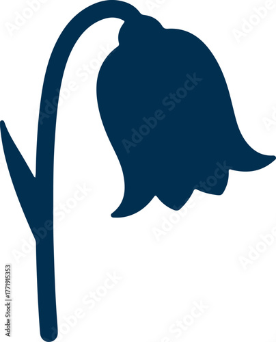 Elegant silhouette of a single drooping bluebell flower isolated on white silhouette