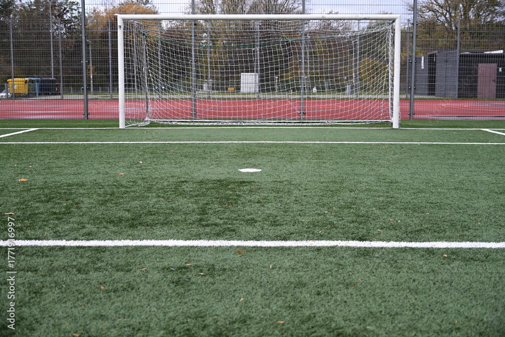 Fototapeta premium empty football field with goal and lines 