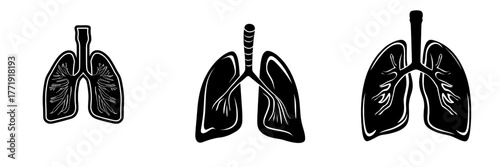 Modern flat style illustration of human lungs anatomy in a simple form