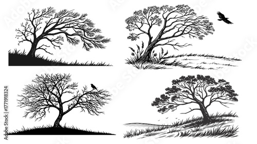 Photos Black Silhouette of Wind-Blown Tree on Grass – Minimalist Nature Vector Illustra