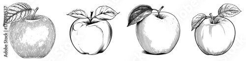 A digital drawing of an apple outline coloring book page in line art illustration is available, along with a delicious apple line art icon suitable for apps and websites, and a modern apple