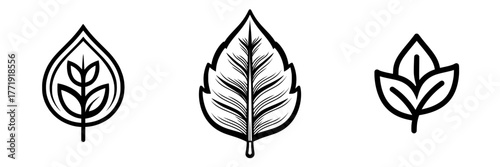 The symbol of leaf ecology represents renewable energy, sustainability, and the ecology icon